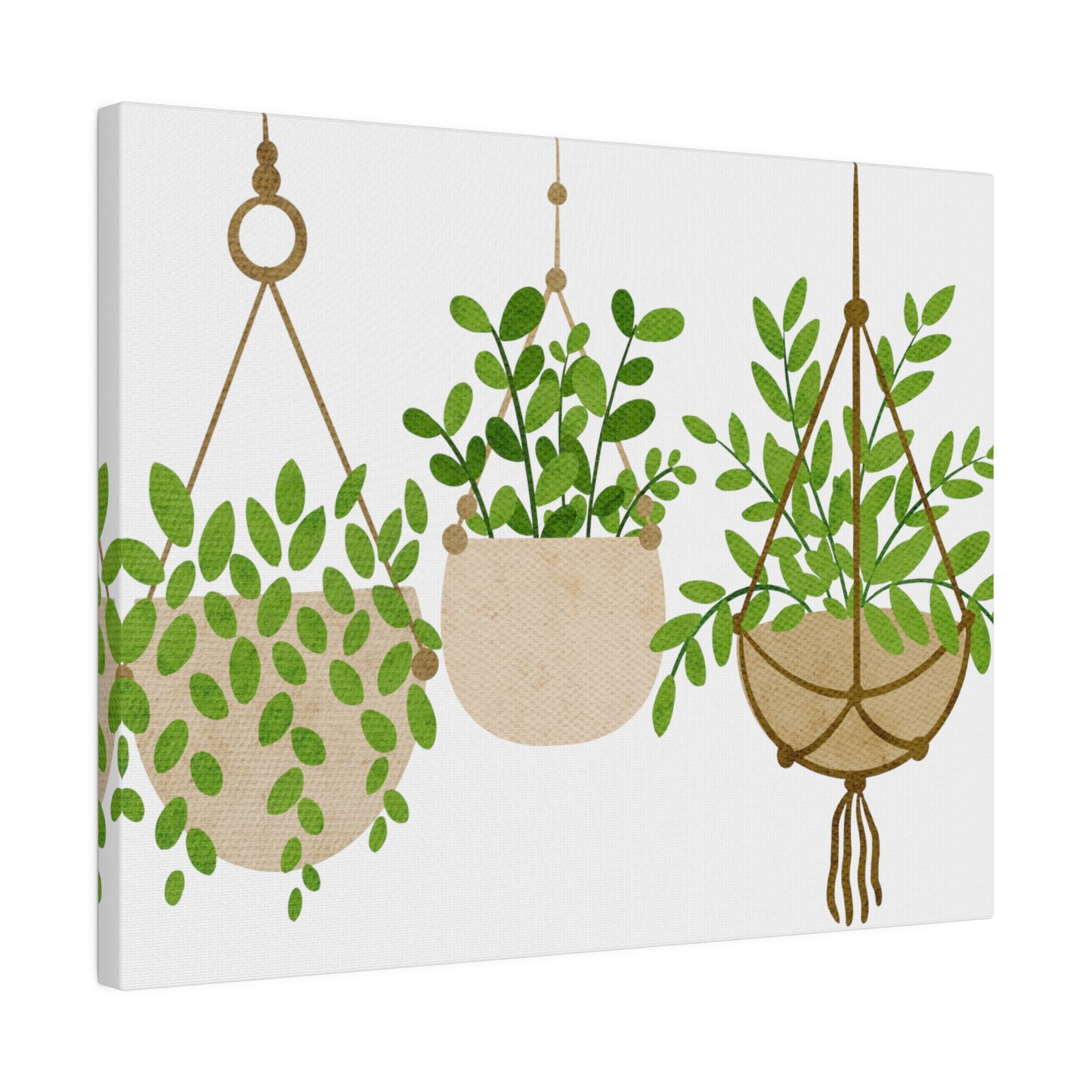 Hanging Modern Plants Botanical Wall Art, Canvas Wall Art, Stretched, 0.75"