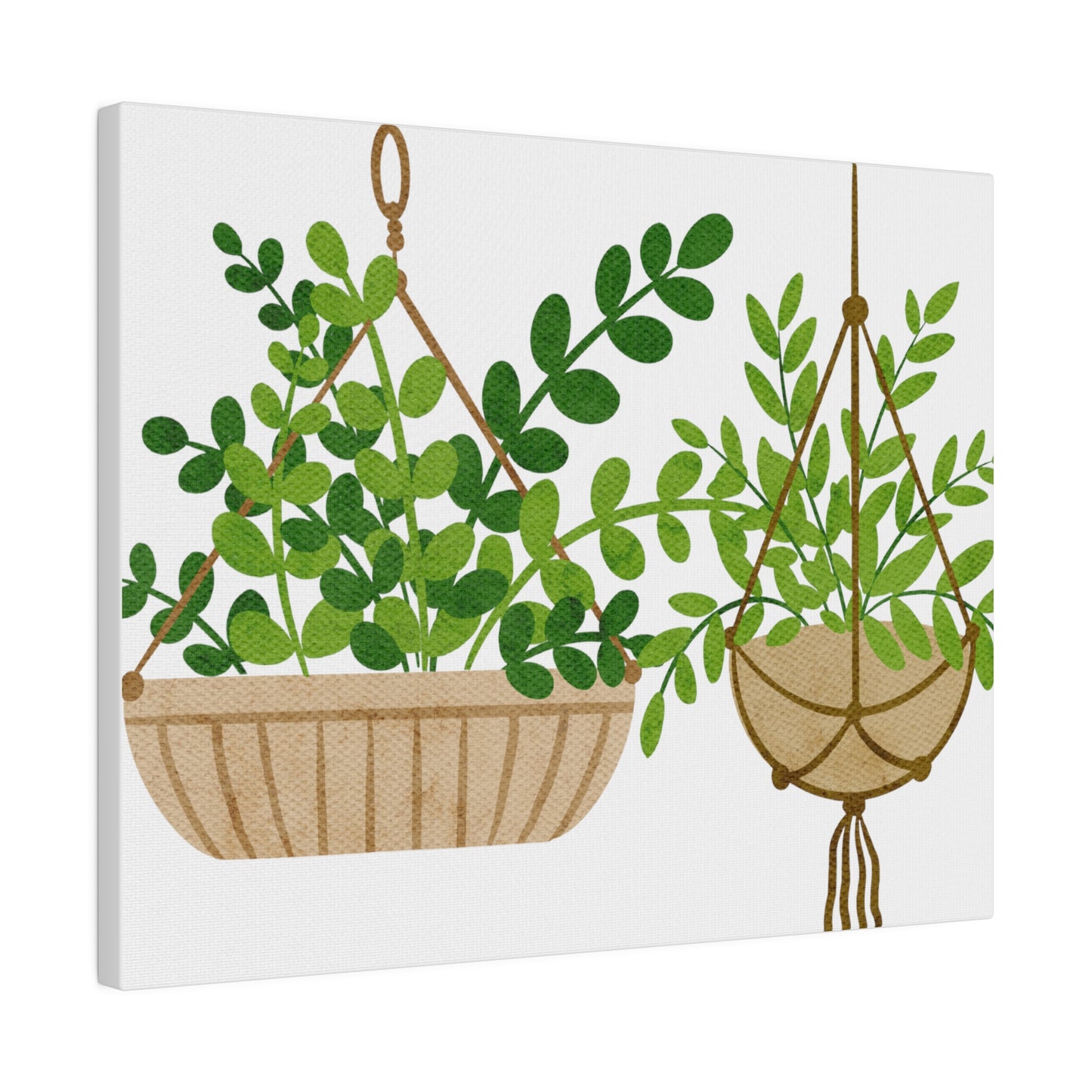 Hanging Indoors Plants Canvas Wall Arts, Botanical Wall Art StretchedCanvas