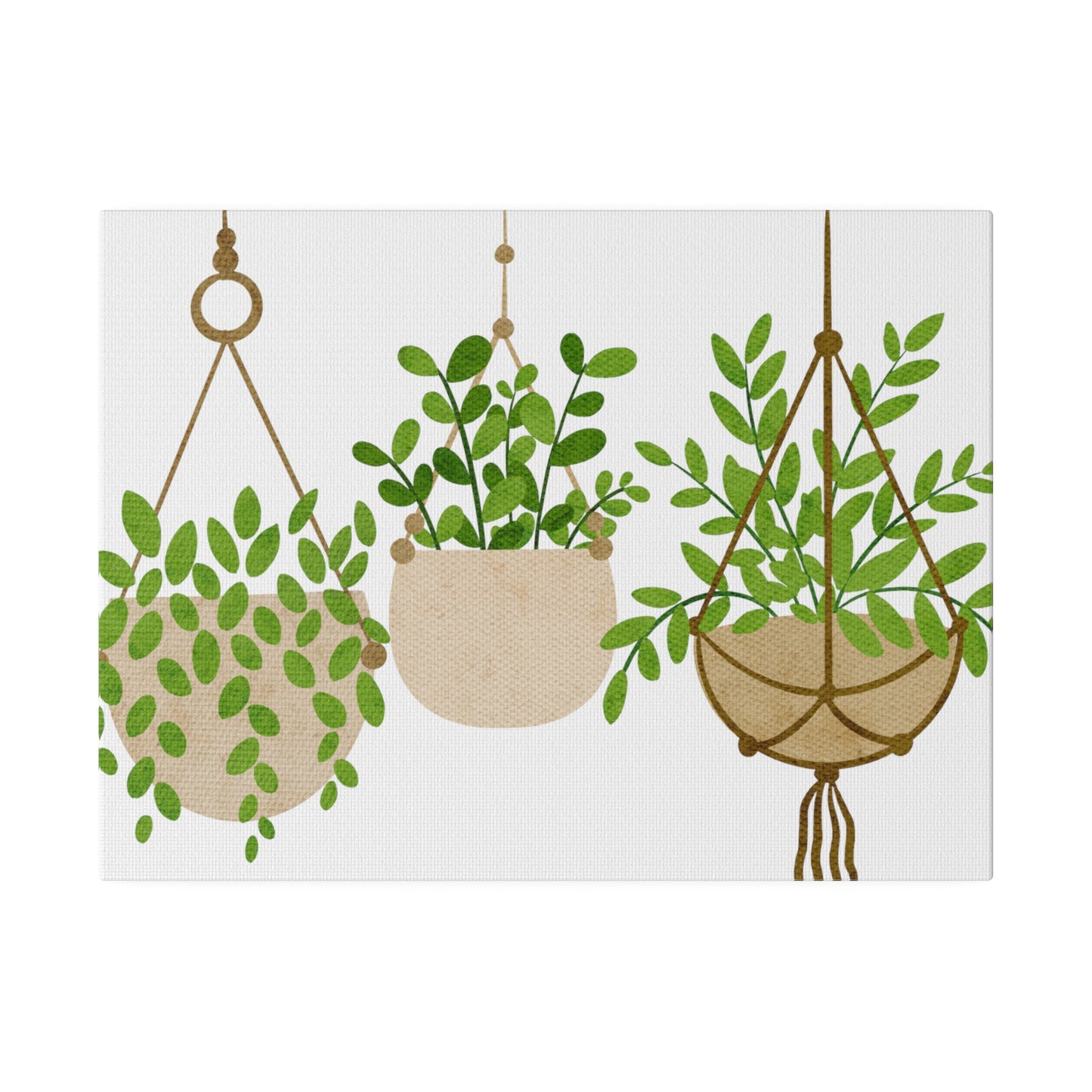 Hanging Modern Plants Botanical Wall Art, Canvas Wall Art, Stretched, 0.75"