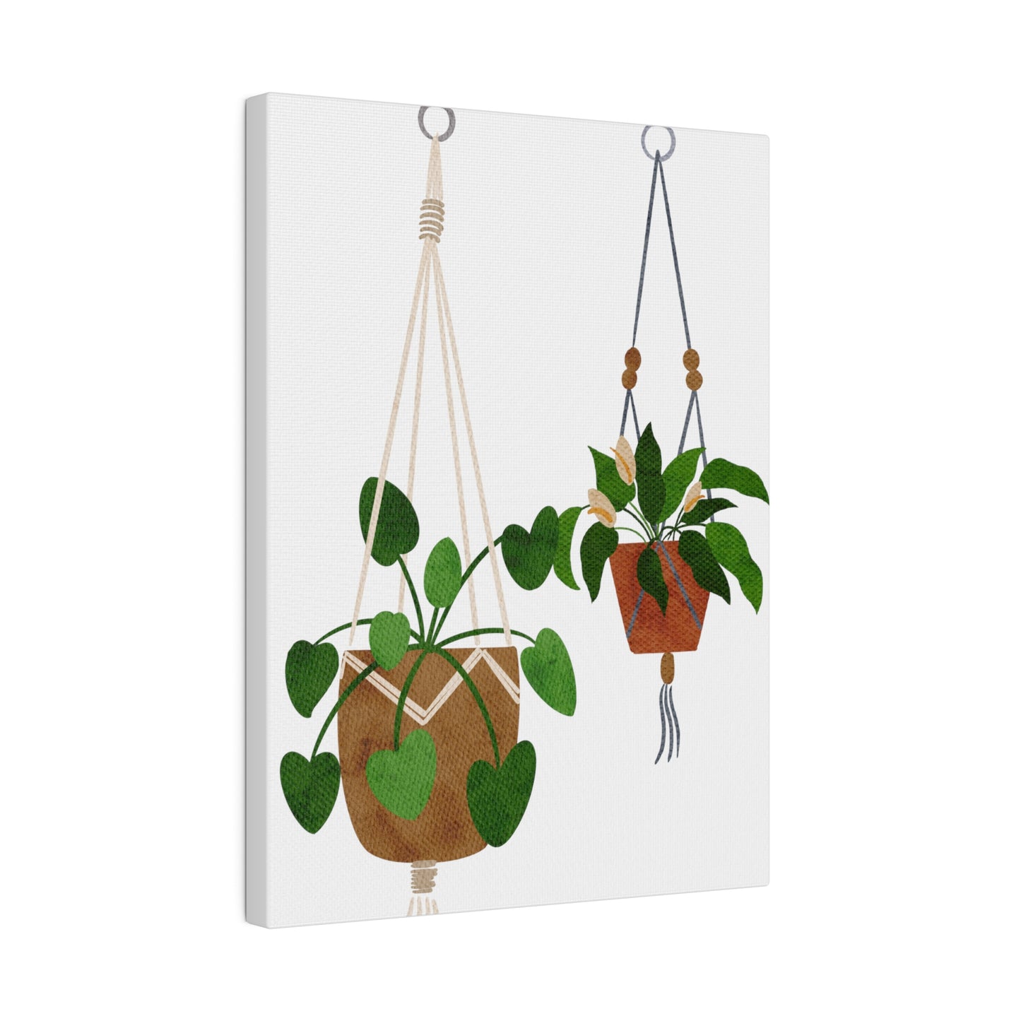 Modern Hanging Plants Canvas Wall Art, Botanical Wall Art, Stretched, 0.75"