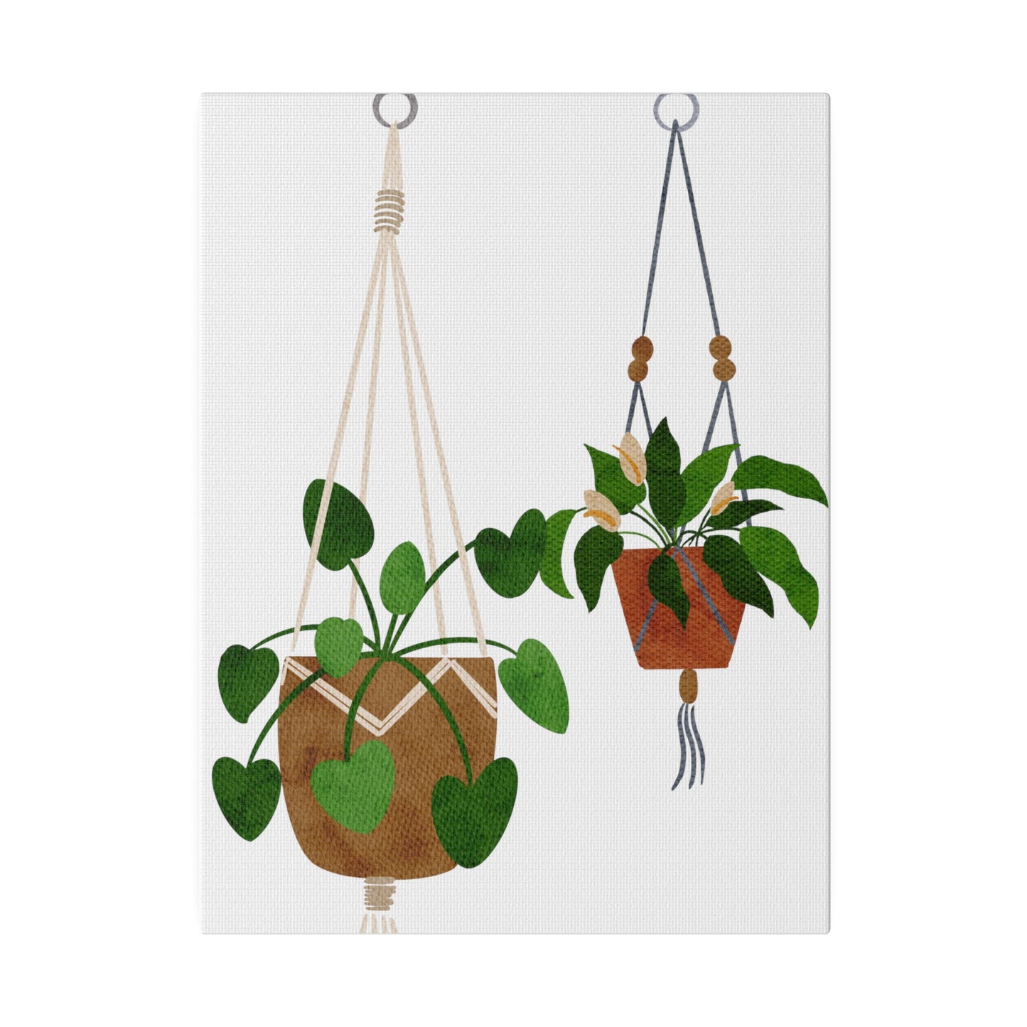 Modern Hanging Plants Canvas Wall Art, Botanical Wall Art, Stretched, 0.75"