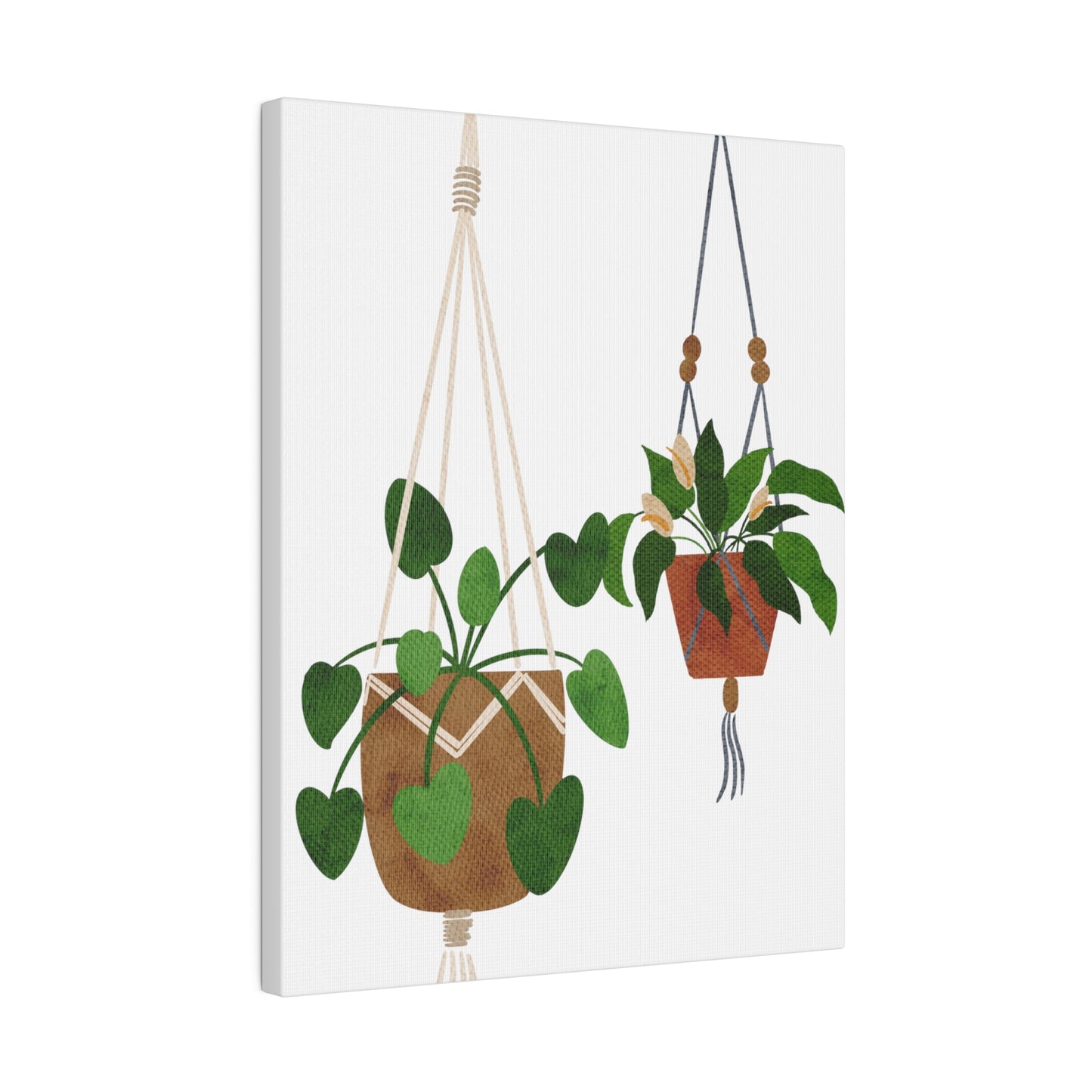 Modern Hanging Plants Canvas Wall Art, Botanical Wall Art, Stretched, 0.75"