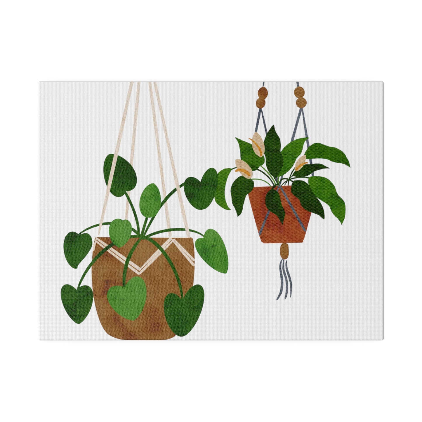 Modern Hanging Plants Canvas Wall Art, Botanical Wall Art, Stretched, 0.75"