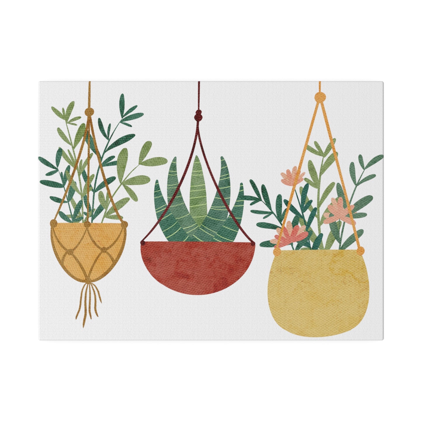 Three Beautiful Hanging Plants Canvas Wall Art, Botanical Wall Art