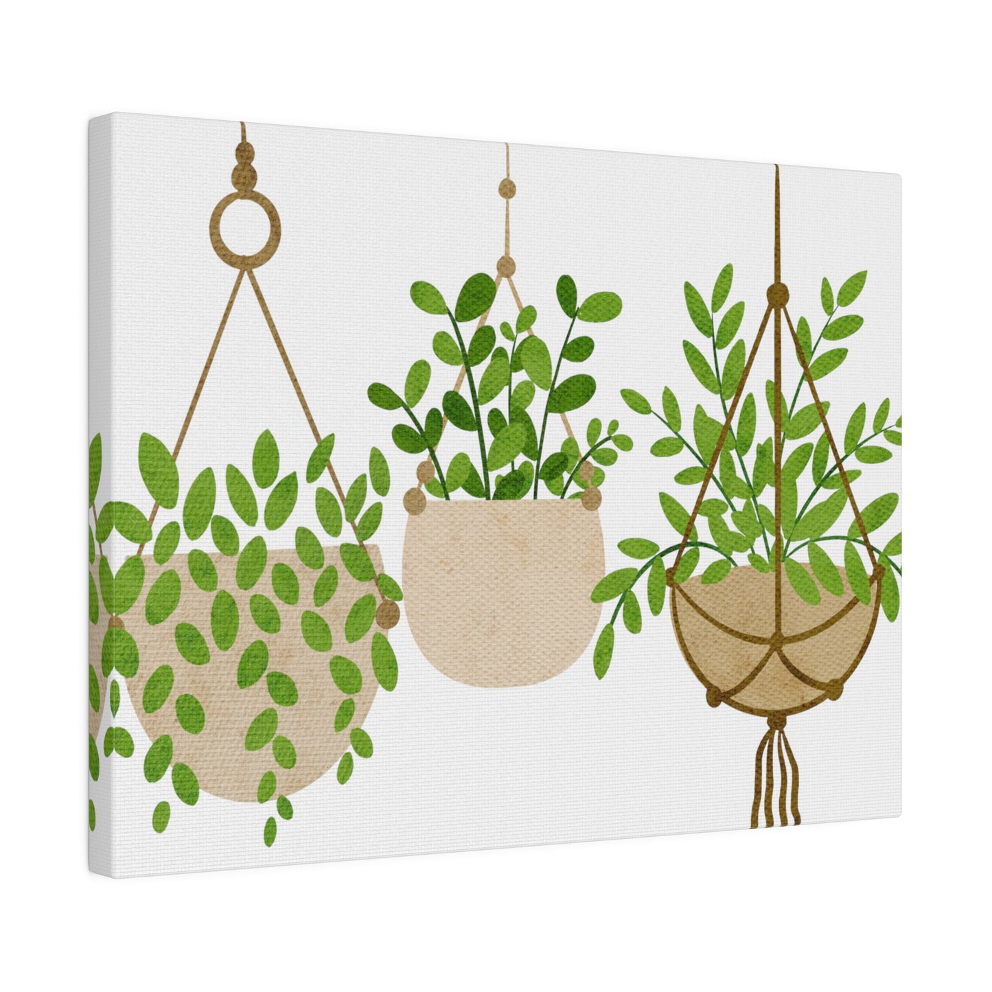 Hanging Modern Plants Botanical Wall Art, Canvas Wall Art, Stretched, 0.75"