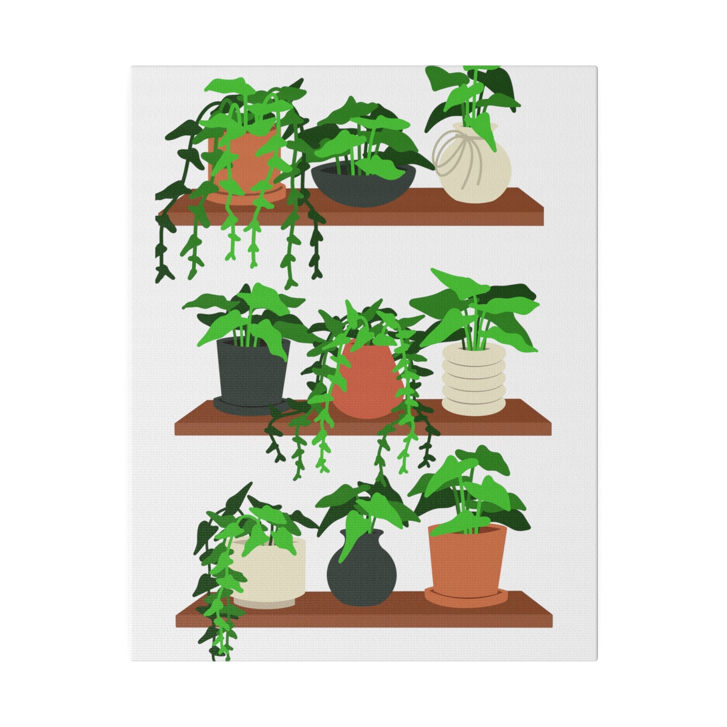 Botanical Wall Art, Potted Plants Matte Canvas, Stretched, 0.75"
