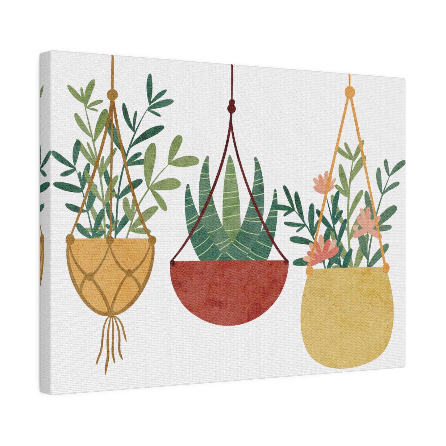 Three Beautiful Hanging Plants Canvas Wall Art, Botanical Wall Art