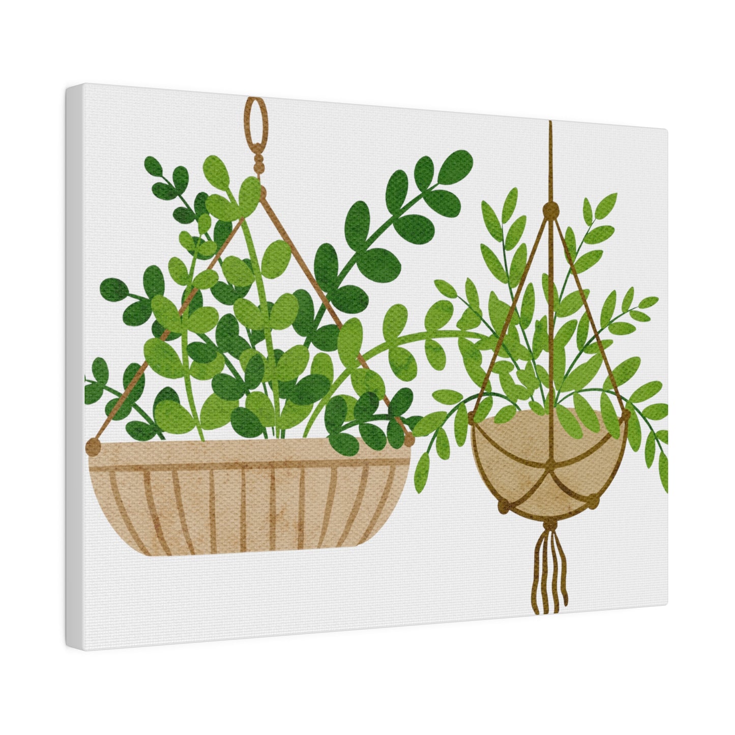 Hanging Indoors Plants Canvas Wall Arts, Botanical Wall Art StretchedCanvas