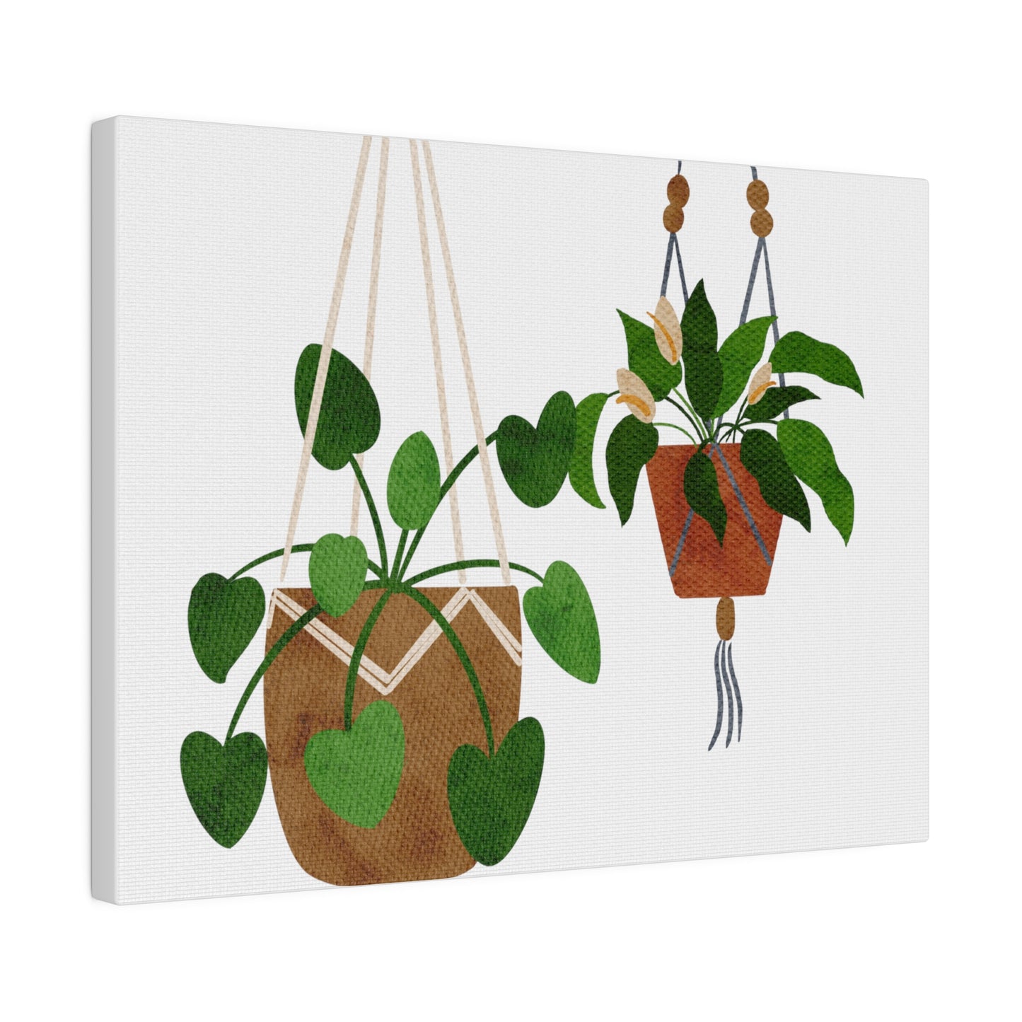 Modern Hanging Plants Canvas Wall Art, Botanical Wall Art, Stretched, 0.75"