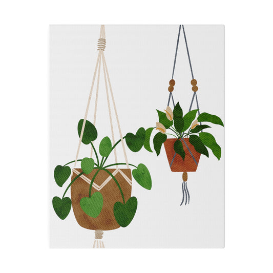 Modern Hanging Plants Canvas Wall Art, Botanical Wall Art, Stretched, 0.75"