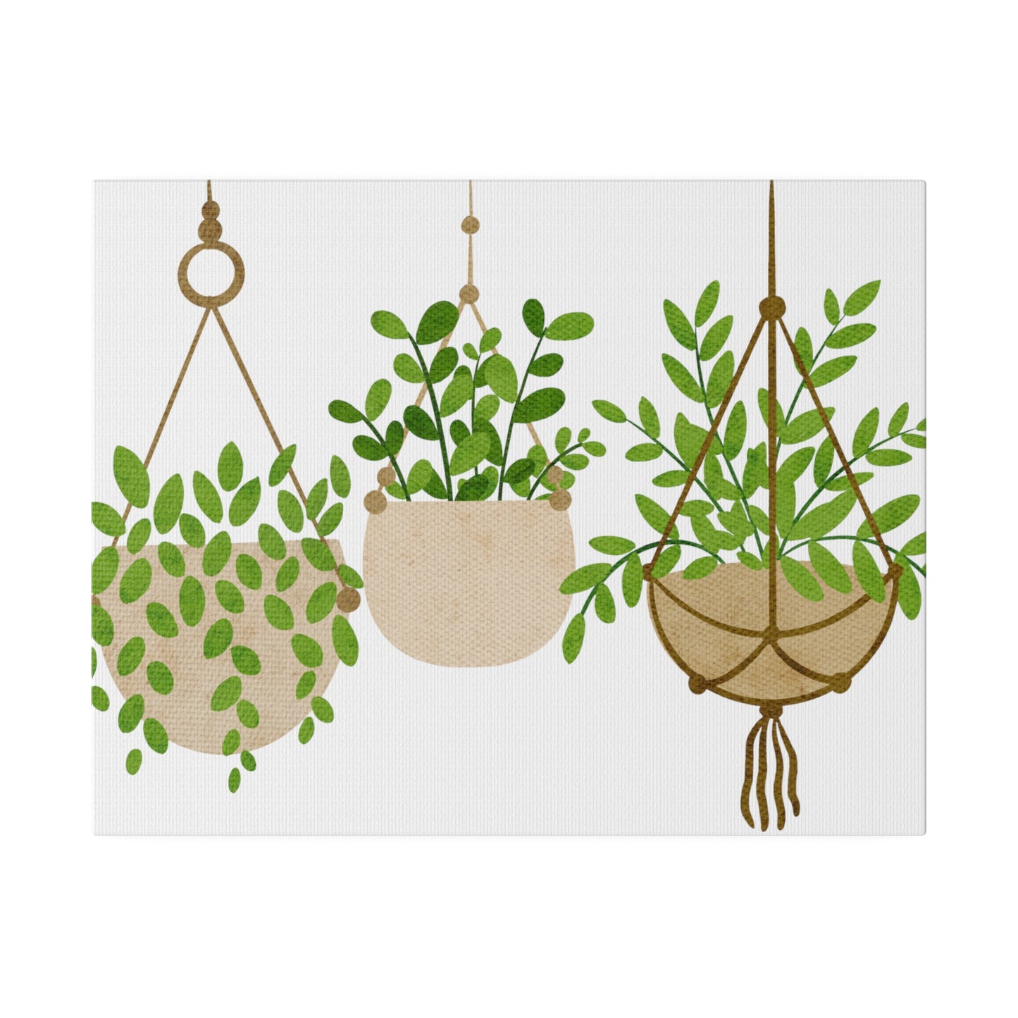Hanging Modern Plants Botanical Wall Art, Canvas Wall Art, Stretched, 0.75"