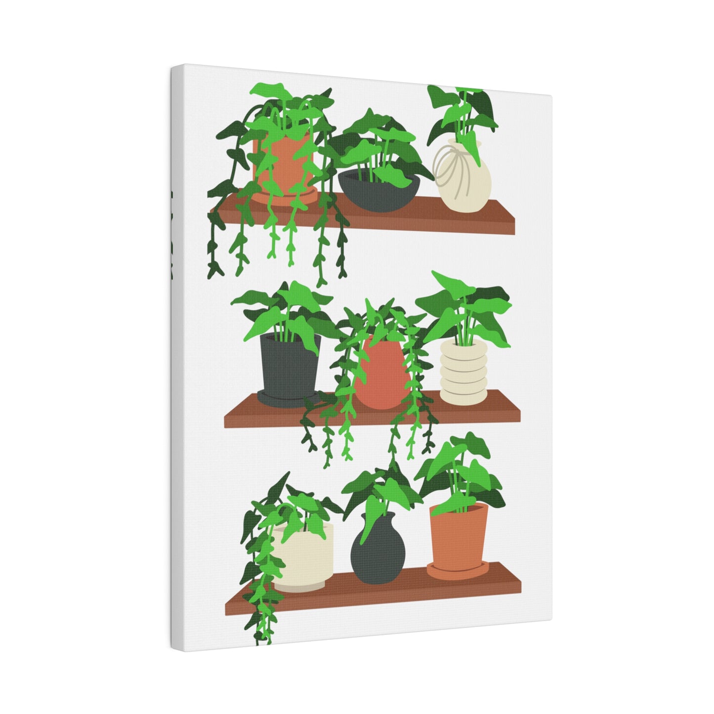 Botanical Wall Art, Potted Plants Matte Canvas, Stretched, 0.75"