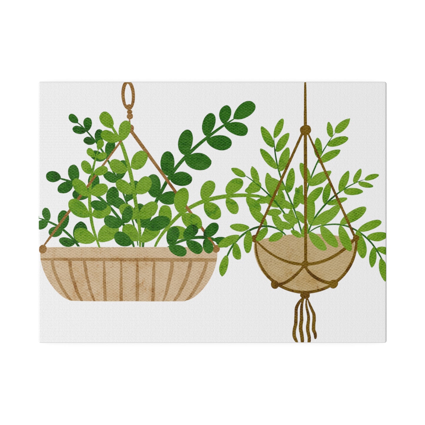 Hanging Indoors Plants Canvas Wall Arts, Botanical Wall Art StretchedCanvas