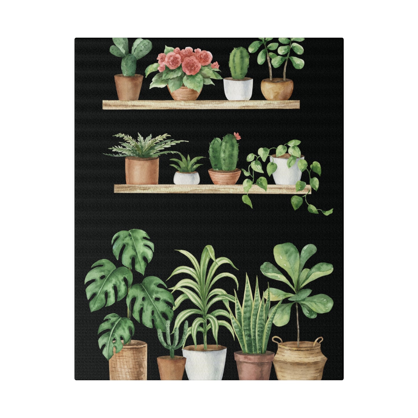 Botanical Wall Arts, Potted Plants Matte Canvas Wall Art, Stretched, 0.75"