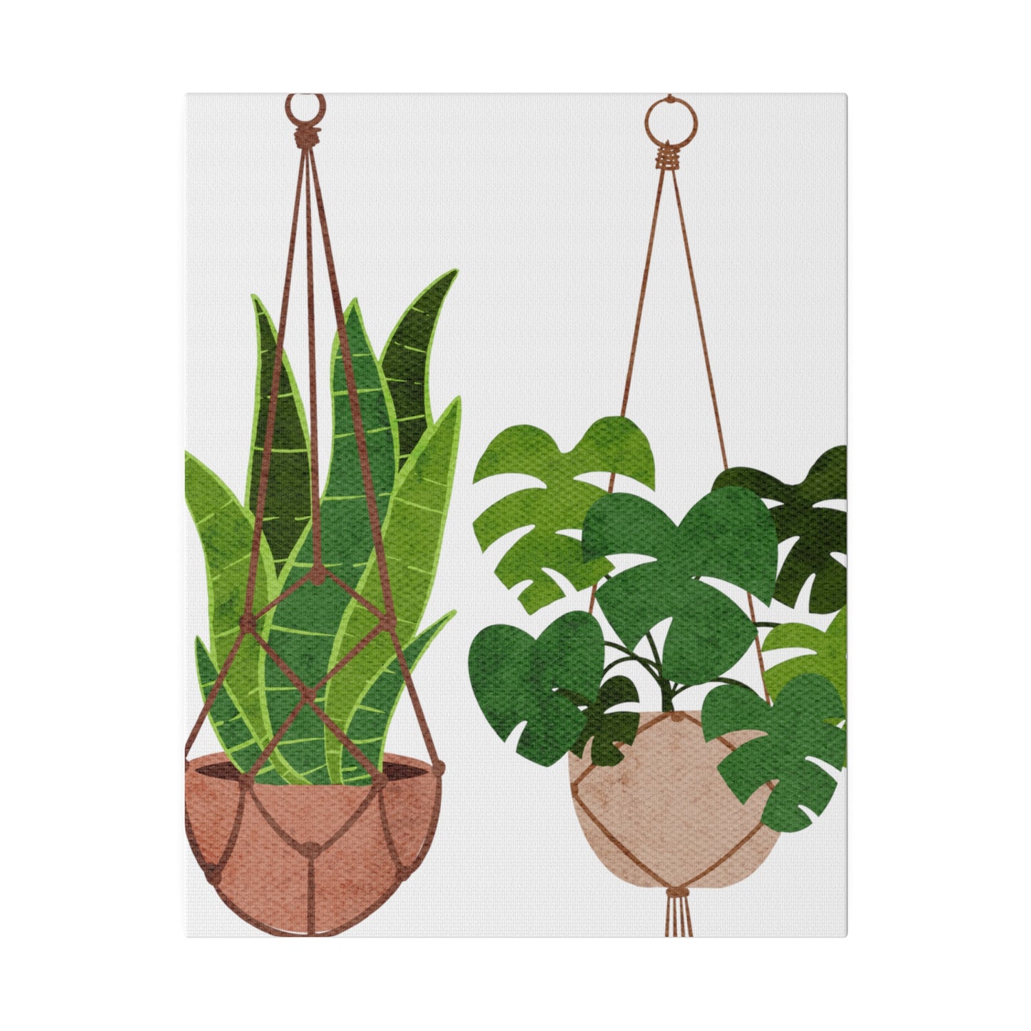 Hanging Indoors Plants Botanical Wall Art, Canvas Wall Arts, Streched