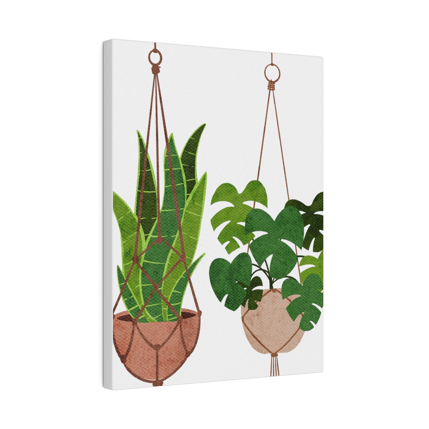 Hanging Indoors Plants Botanical Wall Art, Canvas Wall Arts, Streched