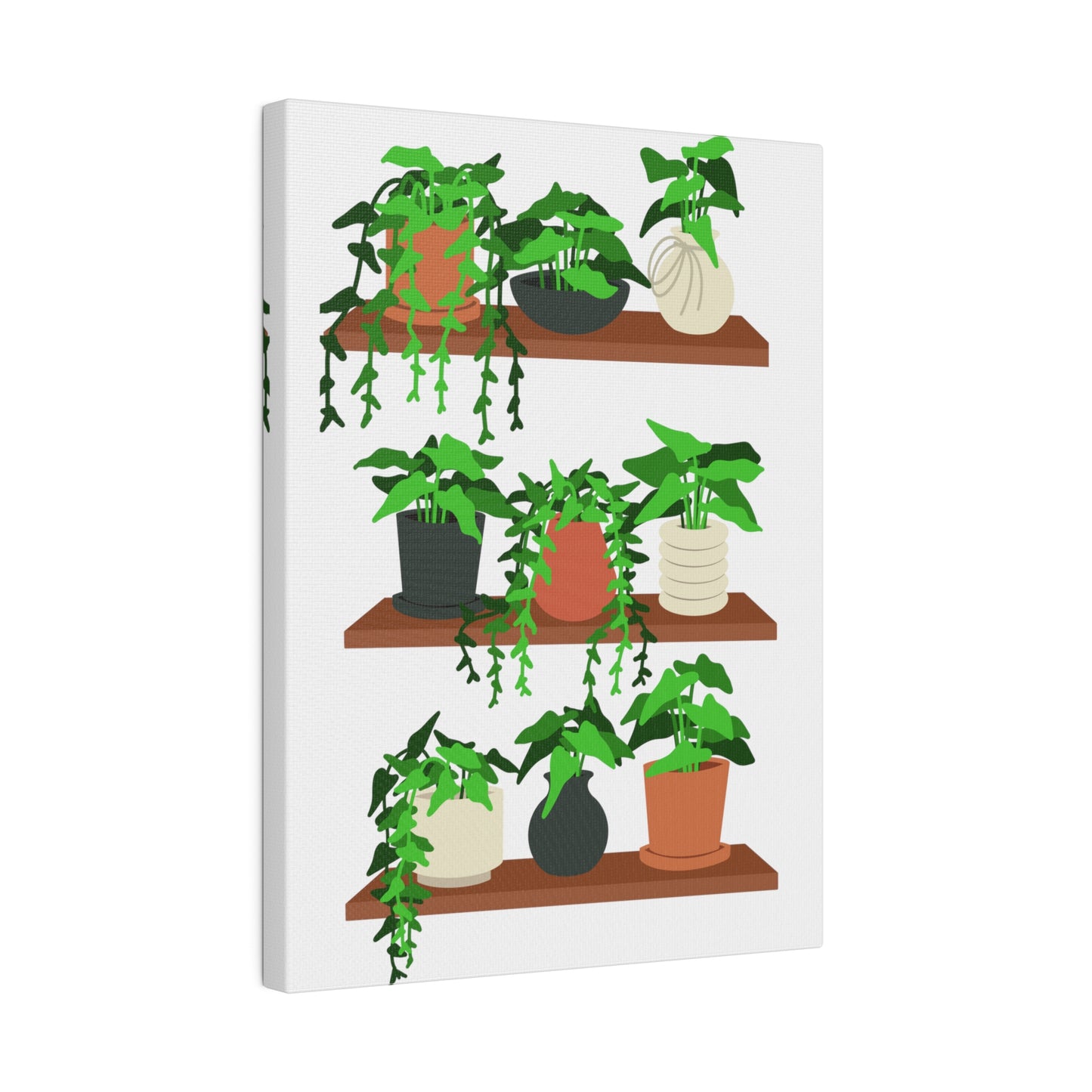 Botanical Wall Art, Potted Plants Matte Canvas, Stretched, 0.75"