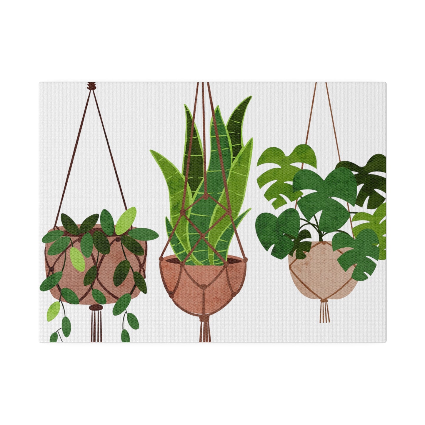 Hanging Indoors Plants Botanical Wall Art, Canvas Wall Arts, Streched