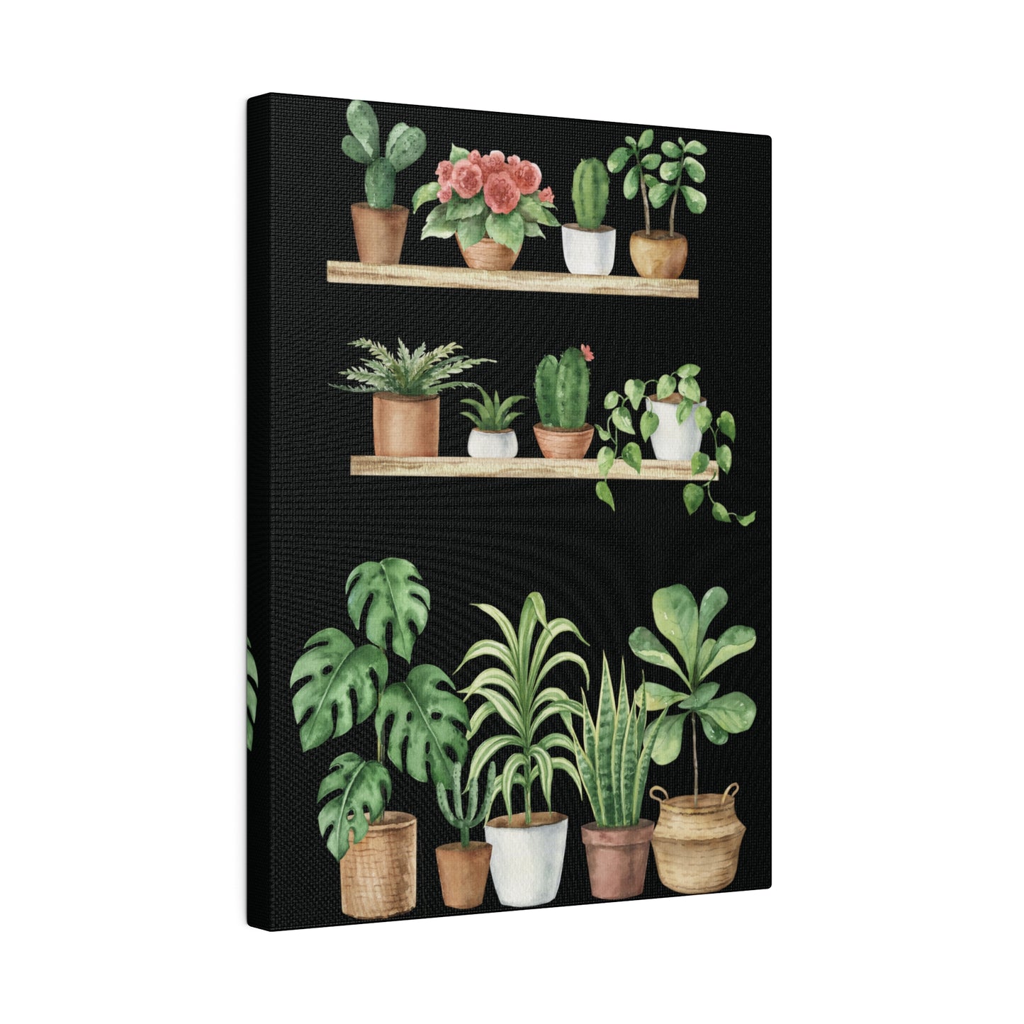 Botanical Wall Arts, Potted Plants Matte Canvas Wall Art, Stretched, 0.75"