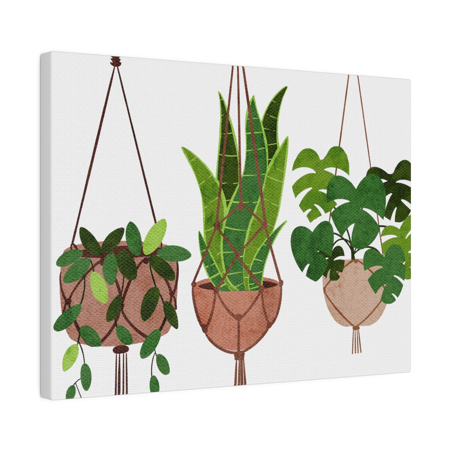 Hanging Indoors Plants Botanical Wall Art, Canvas Wall Arts, Streched