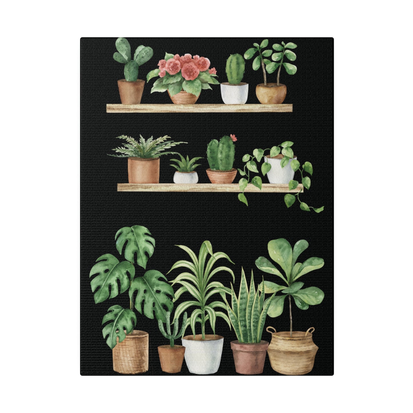 Botanical Wall Arts, Potted Plants Matte Canvas Wall Art, Stretched, 0.75"