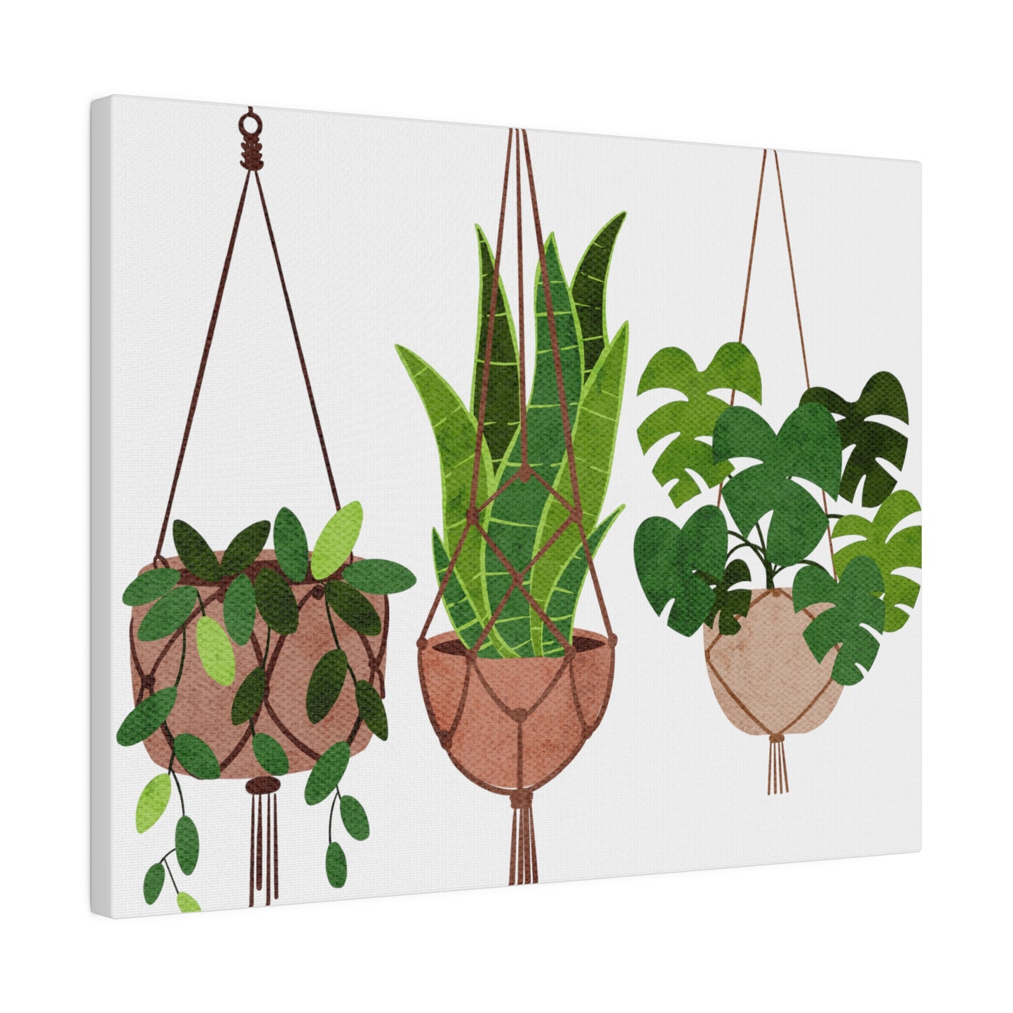 Hanging Indoors Plants Botanical Wall Art, Canvas Wall Arts, Streched