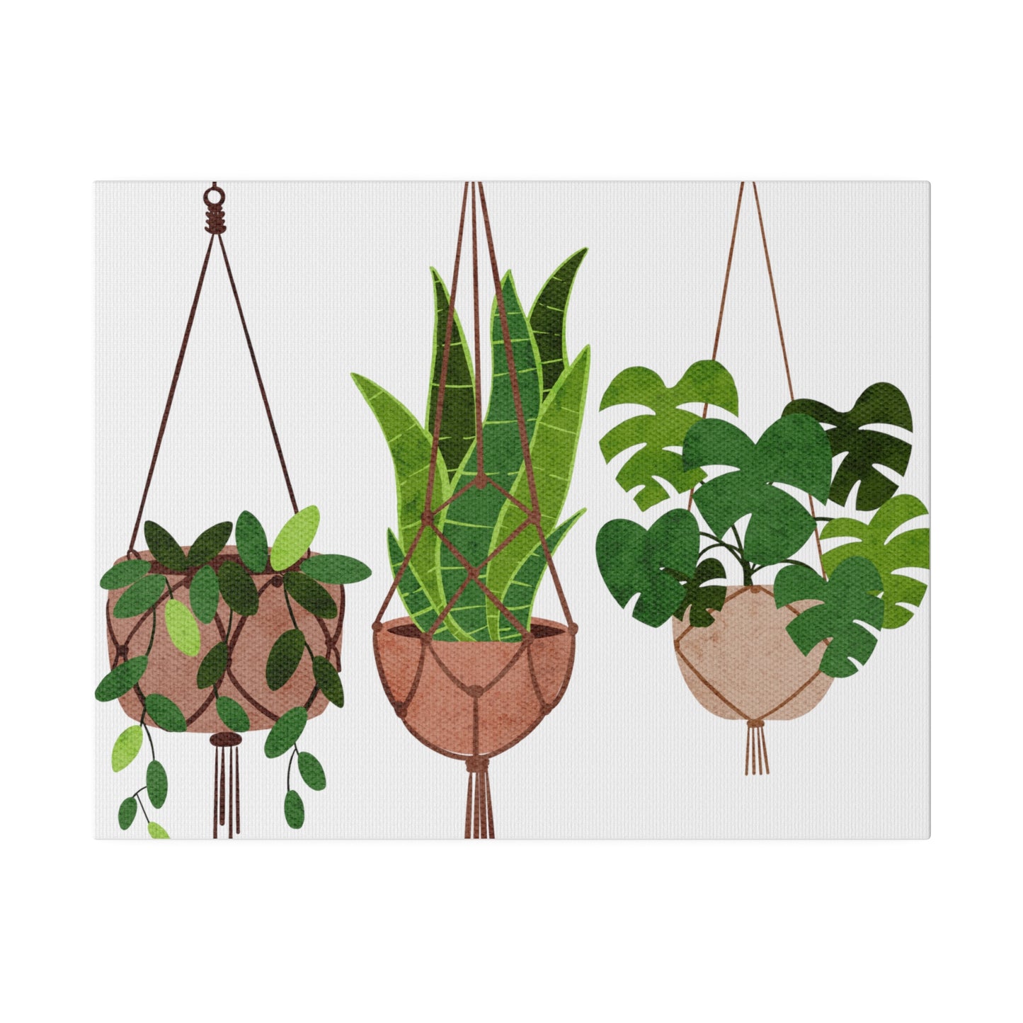 Hanging Indoors Plants Botanical Wall Art, Canvas Wall Arts, Streched