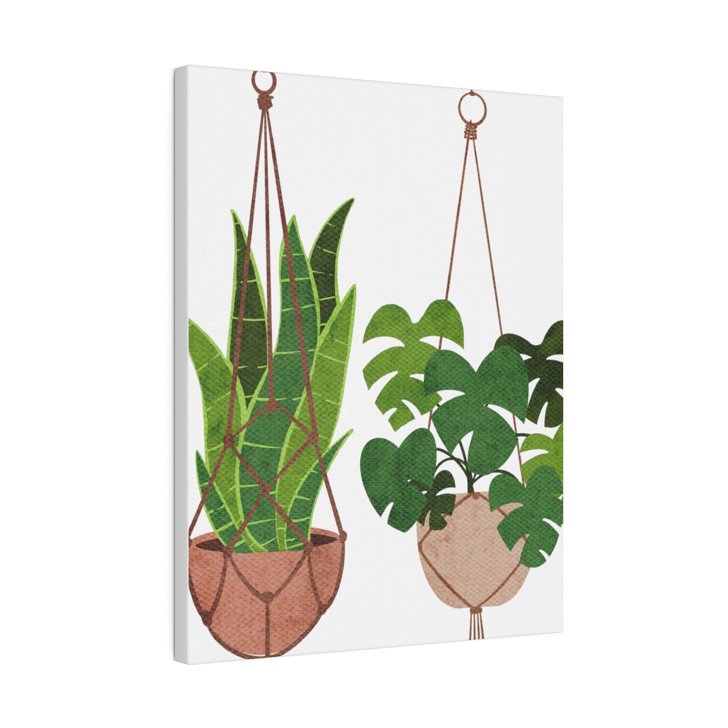 Hanging Indoors Plants Botanical Wall Art, Canvas Wall Arts, Streched