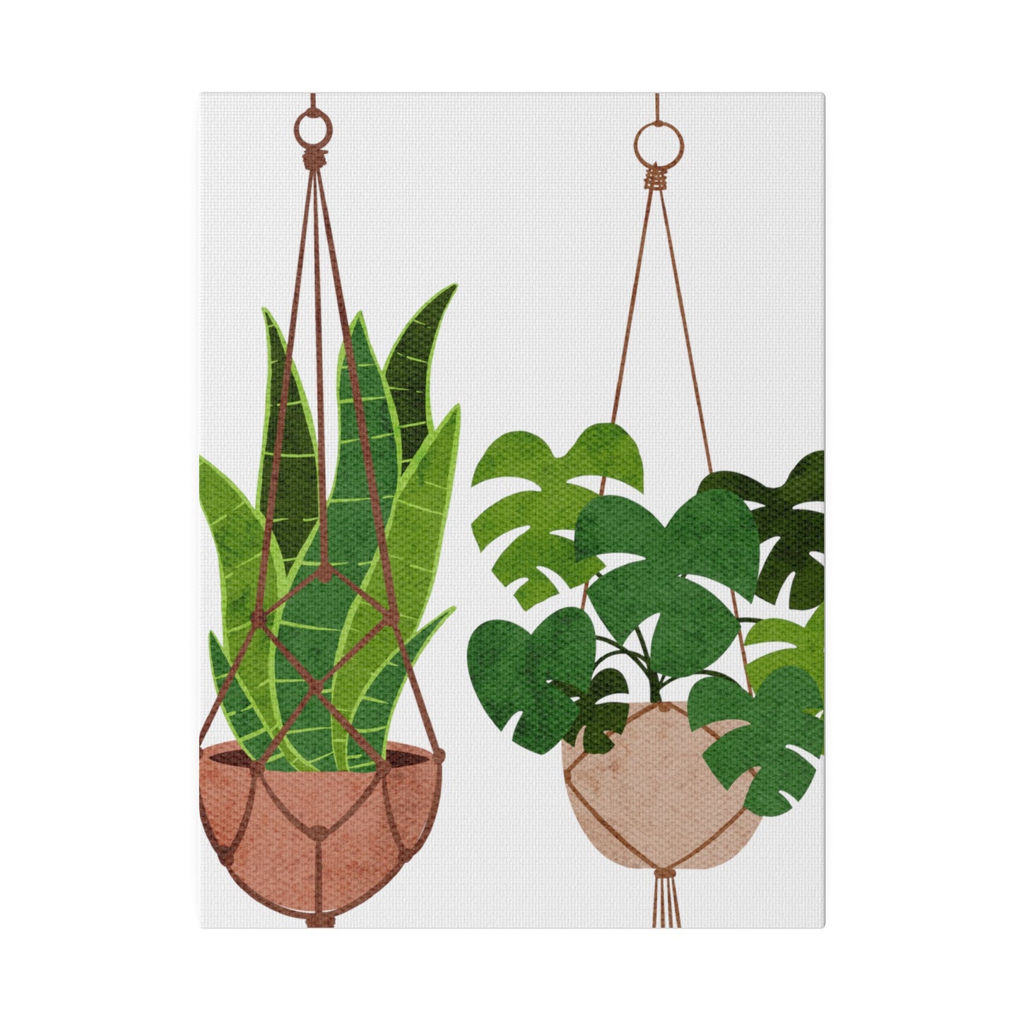 Hanging Indoors Plants Botanical Wall Art, Canvas Wall Arts, Streched