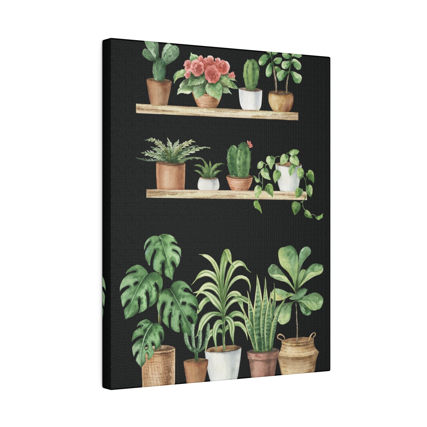 Botanical Wall Arts, Potted Plants Matte Canvas Wall Art, Stretched, 0.75"